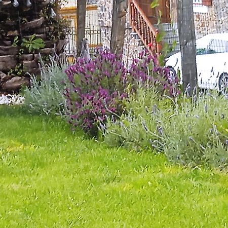 Vicario Etxea Βίλα Concha  Εξωτερικό φωτογραφία